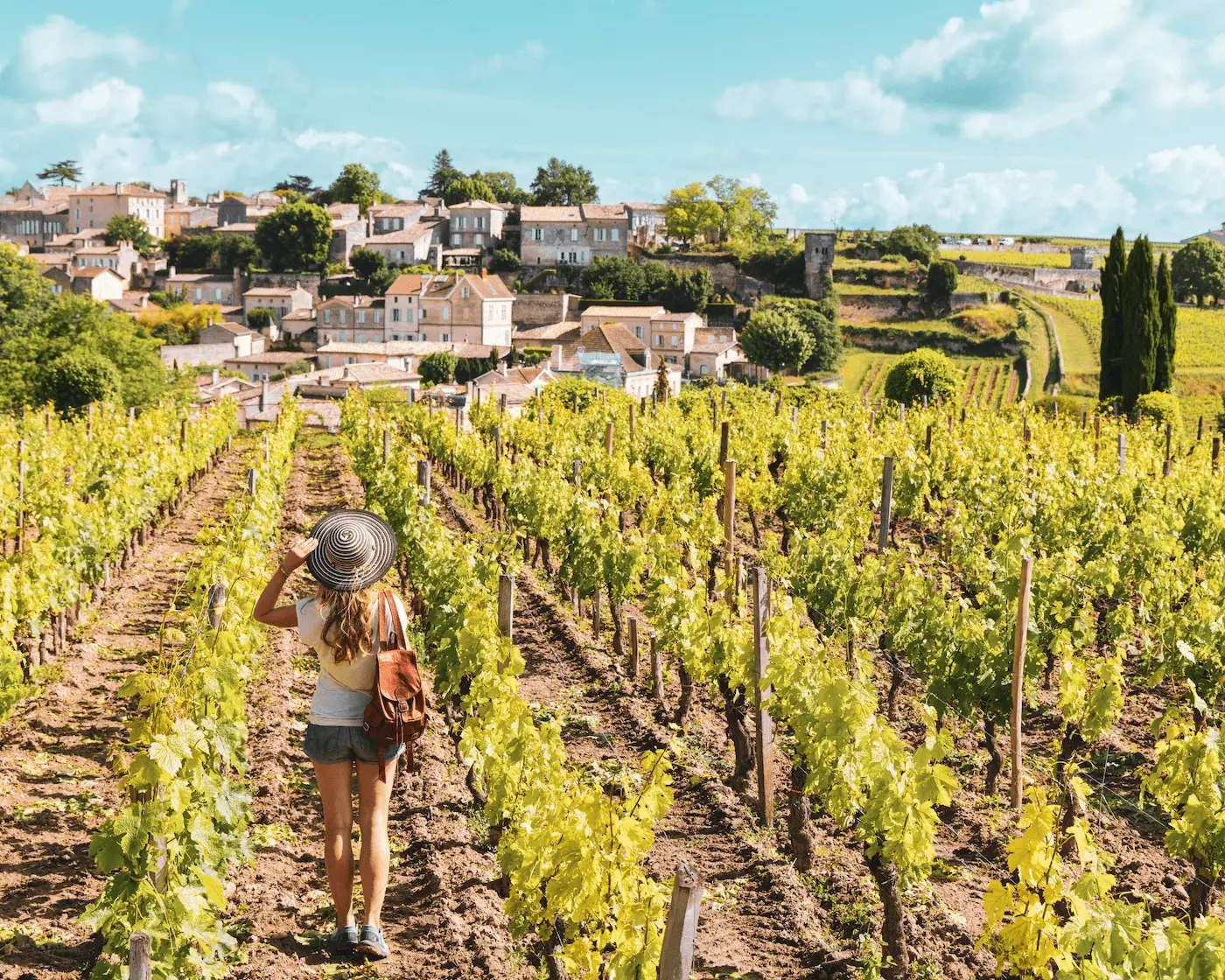 Bordeaux, vins de Pessac & Entre-deux-Mers 3