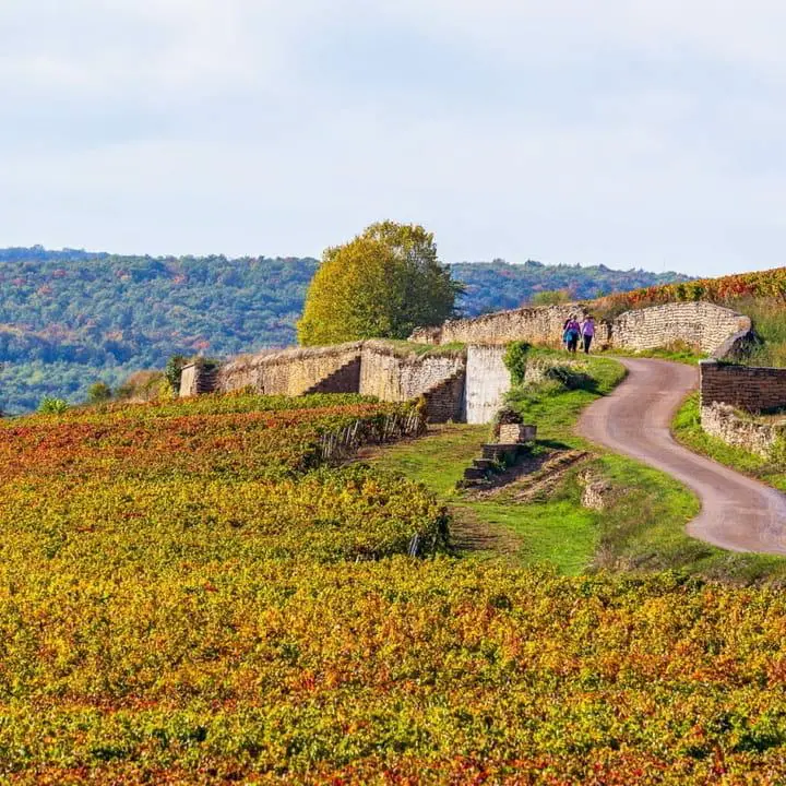Bourgogne à Vélo, Dijon & Beaune 4