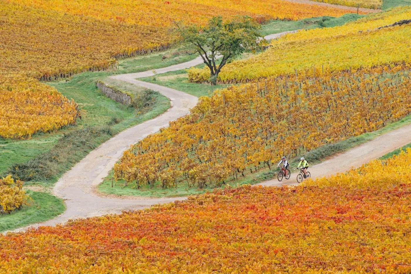 Bourgogne à Vélo, Dijon & Beaune 11