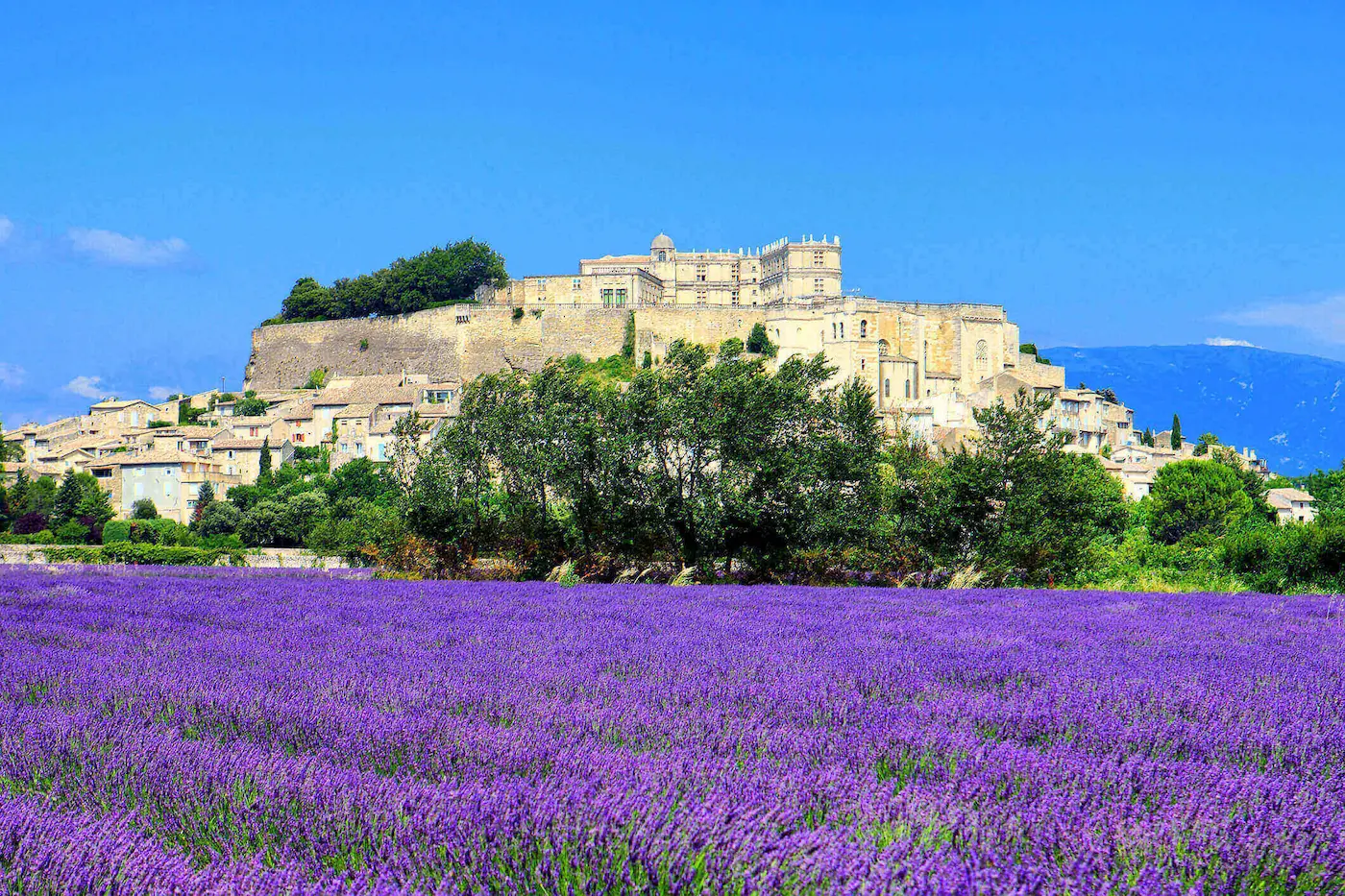 Provence à Vélo Électrique, Grignan & Soleil 9