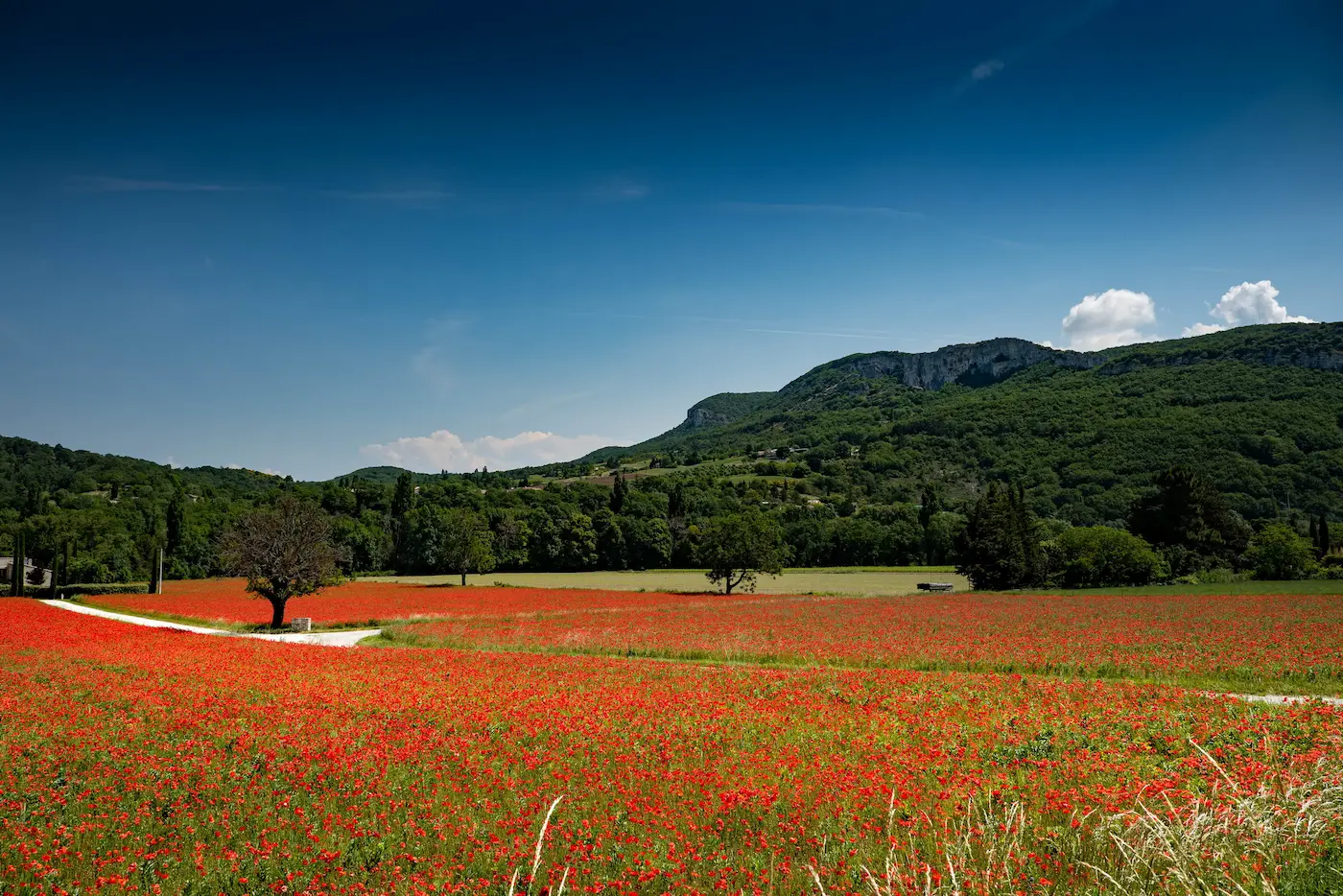 Provence à Vélo Électrique, Grignan & Soleil 15
