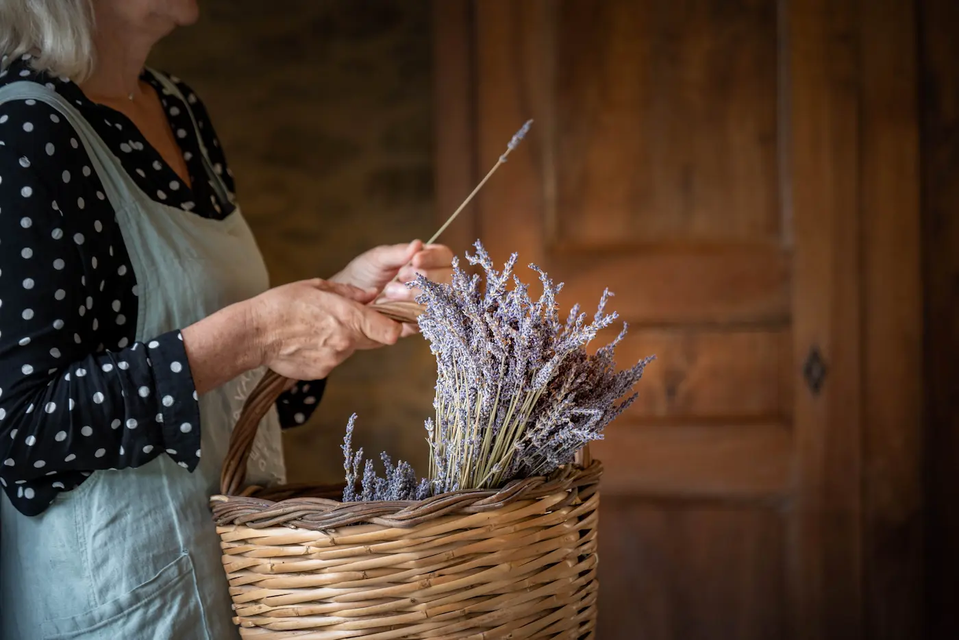 Provence à Vélo Électrique, Grignan & Soleil 16