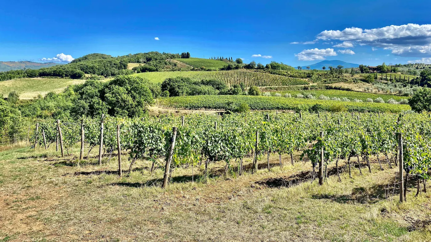 Provence à Vélo Électrique, Grignan & Soleil 18