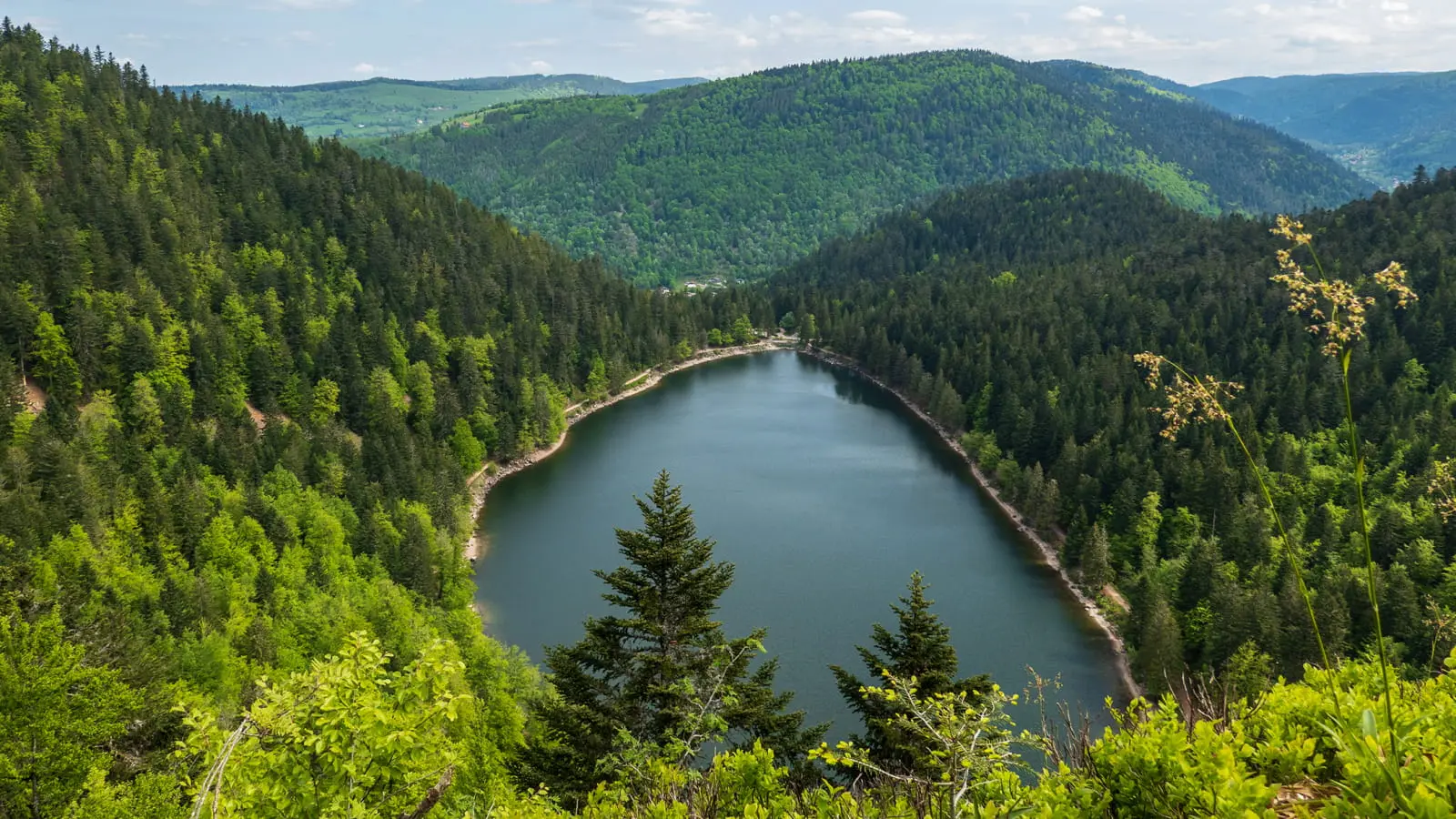 La Bresse, VTT électrique & grands espaces