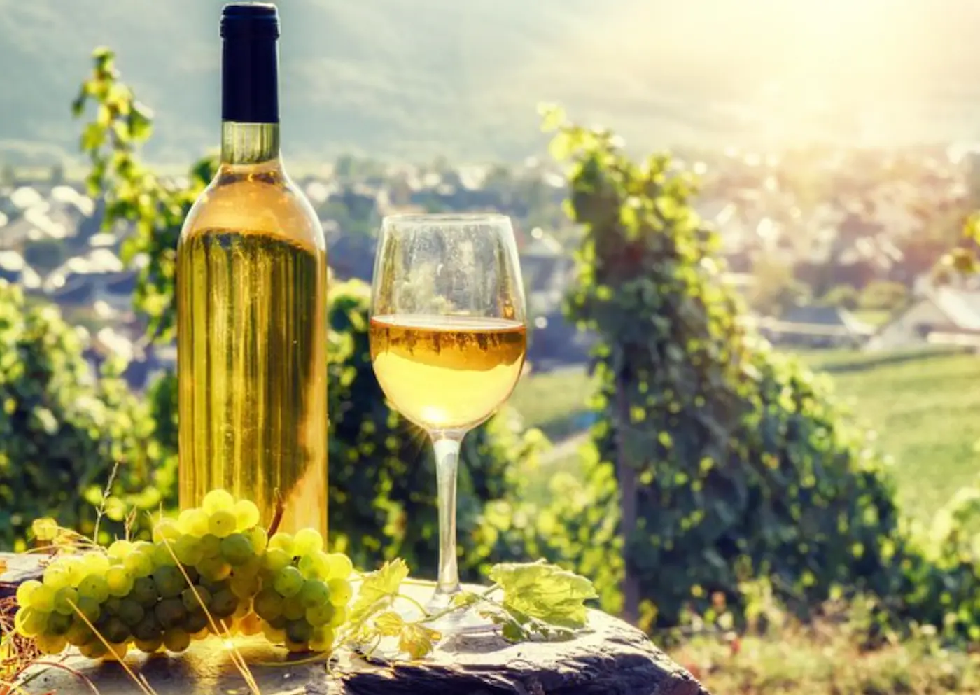 Strasbourg, route des vins & dégustations d’Alsace