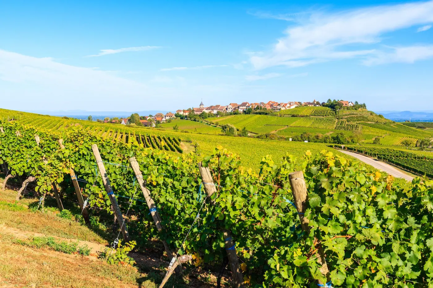 Strasbourg, route des vins & dégustations d’Alsace 2