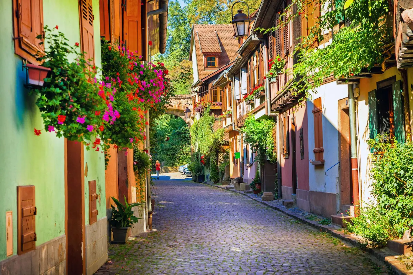 Strasbourg, route des vins & dégustations d’Alsace 14