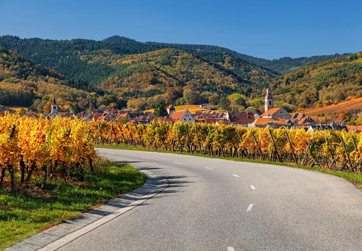 Strasbourg, route des vins & dégustations d’Alsace 18